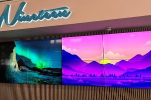 19-Group-Video-Wall-13USE-300x200.jpg