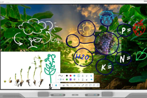 SMART-RX-Series-Interactive-DisplayUSE-300x200.png